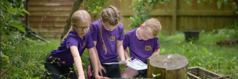 Forest schools