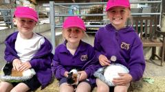 Three children at the farm with guinea pigs
