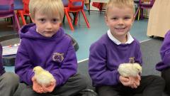 Two boys holding chicks
