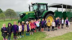 Children at the Farm
