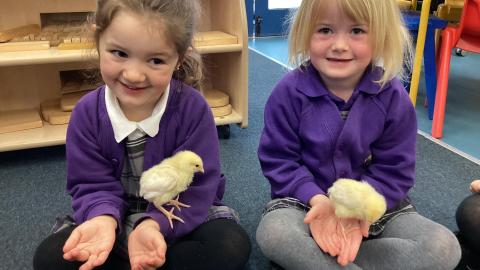 two girls holding chicks