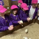 children handling chicks