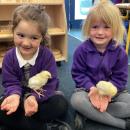 two girls holding chicks