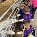 Children at the Farm