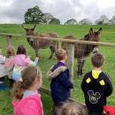 Children at the farm